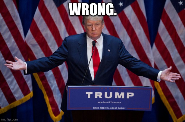 Donald Trump | WRONG. | image tagged in donald trump | made w/ Imgflip meme maker