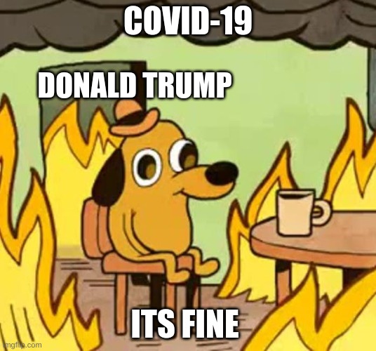 Its fine | COVID-19; DONALD TRUMP; ITS FINE | image tagged in its fine | made w/ Imgflip meme maker