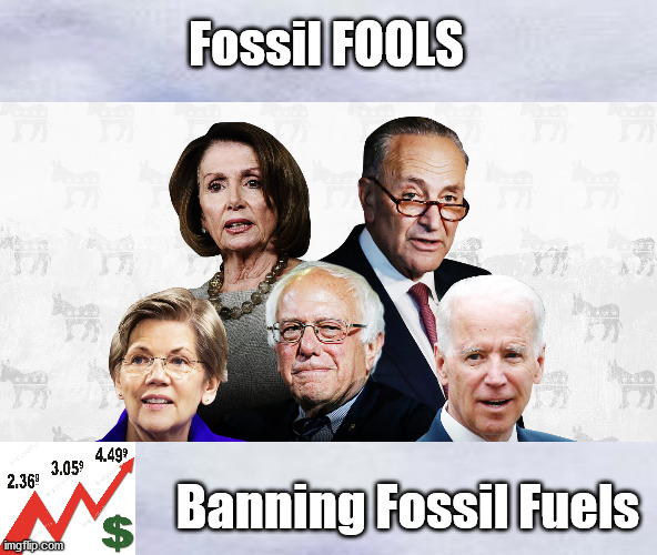 Biden's Democrat Party.....Fossil FOOLS | Fossil FOOLS; Banning Fossil Fuels | image tagged in biden,harris,democrats,whine,election fraud | made w/ Imgflip meme maker