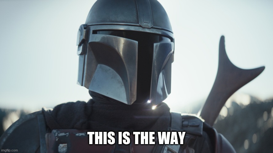 This is the way | THIS IS THE WAY | image tagged in this is the way | made w/ Imgflip meme maker