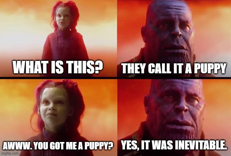 thanos what did it cost | WHAT IS THIS? THEY CALL IT A PUPPY AWWW. YOU GOT ME A PUPPY? YES, IT WAS INEVITABLE. | image tagged in thanos what did it cost | made w/ Imgflip meme maker
