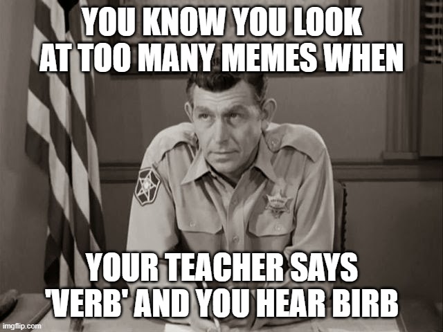 Lmao this isn't going to end well for me | YOU KNOW YOU LOOK AT TOO MANY MEMES WHEN; YOUR TEACHER SAYS 'VERB' AND YOU HEAR BIRB | image tagged in when you know you're screwed - andy griffith | made w/ Imgflip meme maker