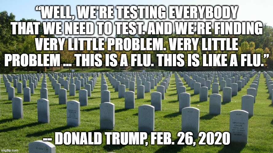 “WELL, WE'RE TESTING EVERYBODY THAT WE NEED TO TEST. AND WE'RE FINDING VERY LITTLE PROBLEM. VERY LITTLE PROBLEM ... THIS IS A FLU. THIS IS LIKE A FLU.”; -- DONALD TRUMP, FEB. 26, 2020 | image tagged in trump,coronavirus | made w/ Imgflip meme maker