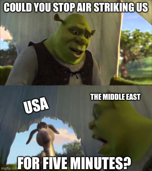shrek five minutes | COULD YOU STOP AIR STRIKING US; THE MIDDLE EAST; USA; FOR FIVE MINUTES? | image tagged in shrek five minutes | made w/ Imgflip meme maker