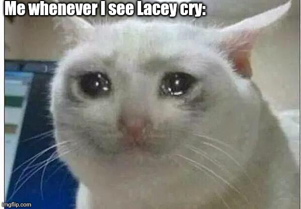 To me, that's very heartbreaking | Me whenever I see Lacey cry: | image tagged in crying cat | made w/ Imgflip meme maker