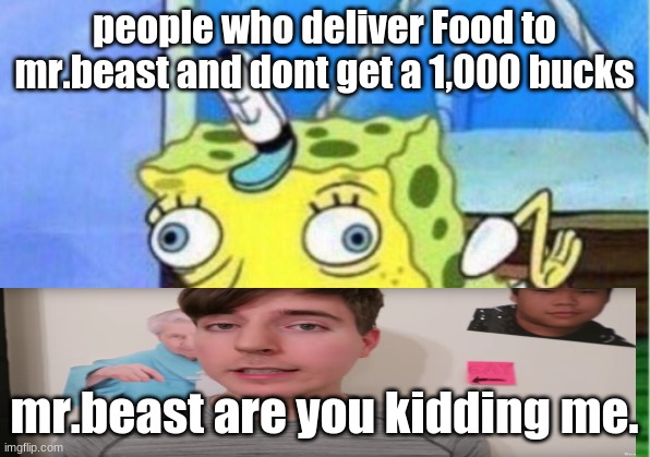 Mocking Spongebob | people who deliver Food to mr.beast and dont get a 1,000 bucks; mr.beast are you kidding me. | image tagged in memes,mocking spongebob | made w/ Imgflip meme maker