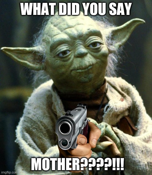 Yoda | WHAT DID YOU SAY; MOTHER????!!! | image tagged in memes,star wars yoda | made w/ Imgflip meme maker