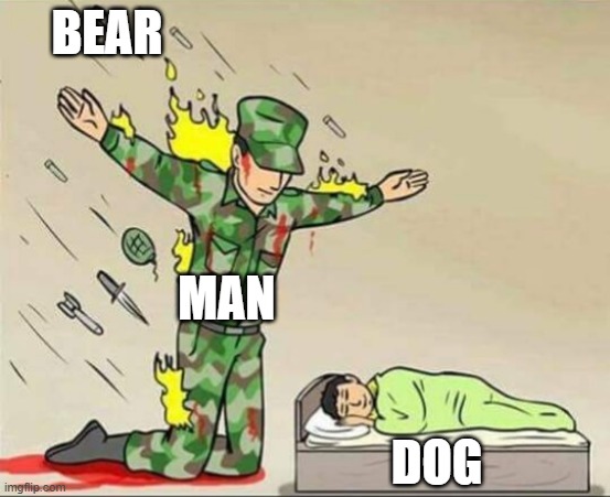 Soldier protecting sleeping child | BEAR MAN DOG | image tagged in soldier protecting sleeping child | made w/ Imgflip meme maker