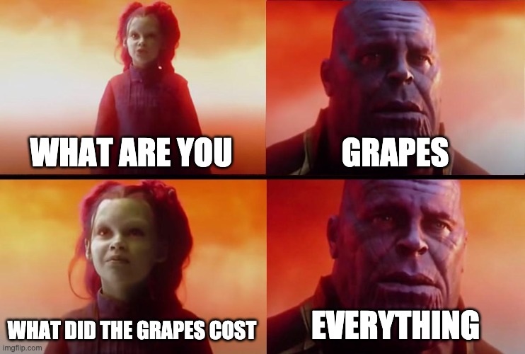 thanos what did it cost | WHAT ARE YOU GRAPES WHAT DID THE GRAPES COST EVERYTHING | image tagged in thanos what did it cost | made w/ Imgflip meme maker