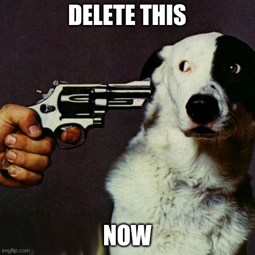 Dog at gunpoint | DELETE THIS NOW | image tagged in dog at gunpoint | made w/ Imgflip meme maker