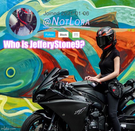 Got a follow from him. | Who is JefferyStone9? | image tagged in notlora temp | made w/ Imgflip meme maker