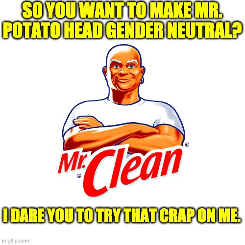 Mr. Clean | SO YOU WANT TO MAKE MR. POTATO HEAD GENDER NEUTRAL? I DARE YOU TO TRY THAT CRAP ON ME. | image tagged in gender confusion | made w/ Imgflip meme maker