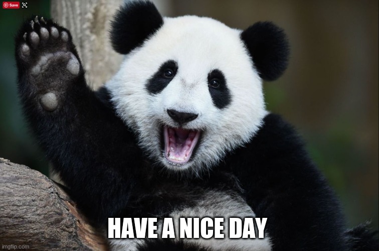 Have a nice day | HAVE A NICE DAY | image tagged in have a nice day | made w/ Imgflip meme maker