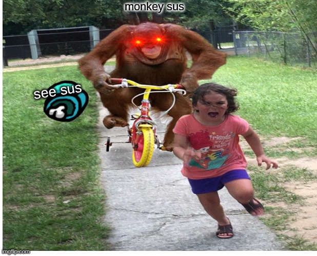 sus???????????????????????????? | monkey sus; see sus | image tagged in monkey | made w/ Imgflip meme maker