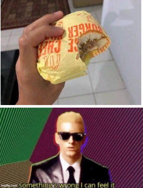 do you guys eat your burgers with or without the wrapper? | image tagged in blank white template,something's wrong i can feel it | made w/ Imgflip meme maker