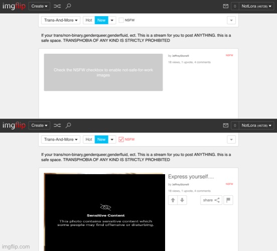 Adding onto my last post. I encourage you to use this at all times, the NSFW toggle button. | made w/ Imgflip meme maker