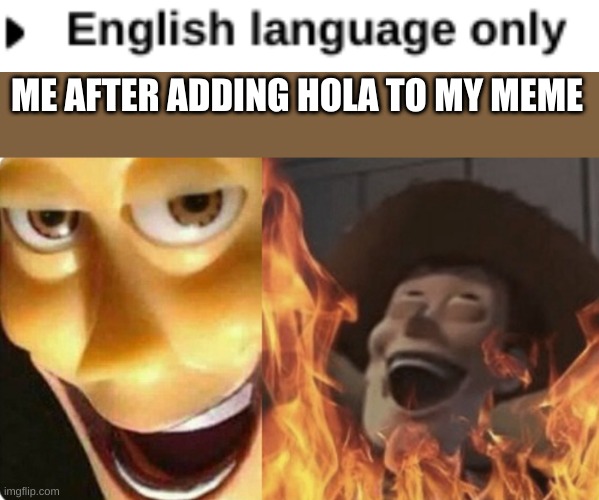 ME AFTER ADDING HOLA TO MY MEME | image tagged in evil woody | made w/ Imgflip meme maker