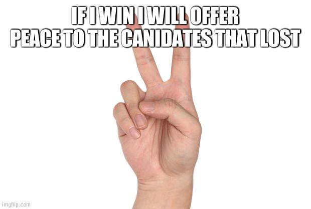 Peace, not further divide | IF I WIN I WILL OFFER PEACE TO THE CANIDATES THAT LOST | image tagged in peace sign | made w/ Imgflip meme maker