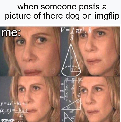 this is imgflip not Instagram | when someone posts a picture of there dog on imgflip; me: | image tagged in memes,marked safe from | made w/ Imgflip meme maker