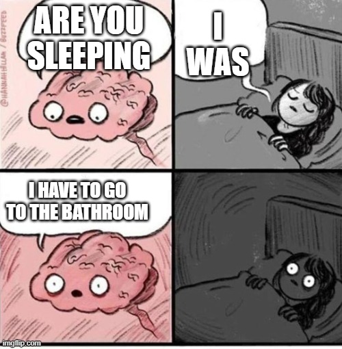Trying to sleep | I WAS; ARE YOU SLEEPING; I HAVE TO GO TO THE BATHROOM | image tagged in trying to sleep | made w/ Imgflip meme maker