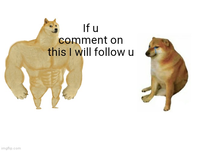 Buff Doge vs. Cheems | If u comment on this I will follow u | image tagged in memes,buff doge vs cheems | made w/ Imgflip meme maker