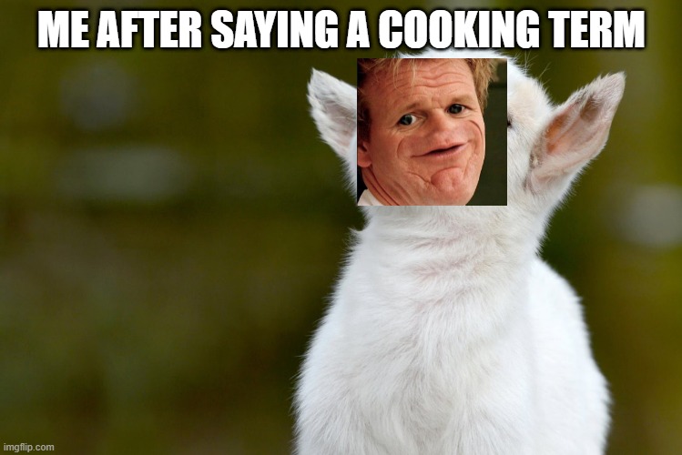 ME AFTER SAYING A COOKING TERM | image tagged in proud baby goat | made w/ Imgflip meme maker