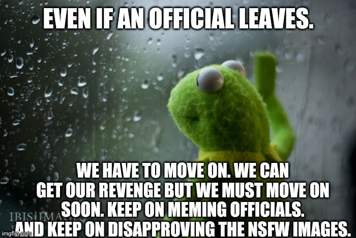 It's sad, but one day we must... | EVEN IF AN OFFICIAL LEAVES. WE HAVE TO MOVE ON. WE CAN GET OUR REVENGE BUT WE MUST MOVE ON SOON. KEEP ON MEMING OFFICIALS. AND KEEP ON DISAPPROVING THE NSFW IMAGES. | image tagged in kermit window | made w/ Imgflip meme maker