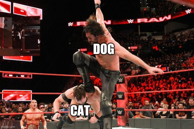 DOG CAT | made w/ Imgflip meme maker