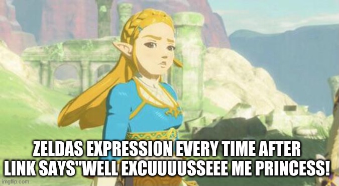 Judging zelda | ZELDAS EXPRESSION EVERY TIME AFTER LINK SAYS"WELL EXCUUUUSSEEE ME PRINCESS! | image tagged in judging zelda | made w/ Imgflip meme maker