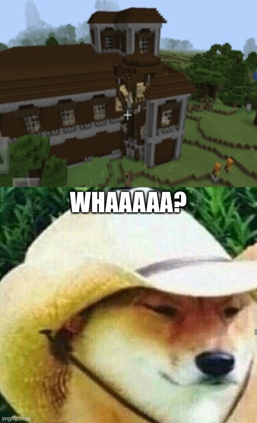 WHAAAAA? | image tagged in what in tarnation | made w/ Imgflip meme maker