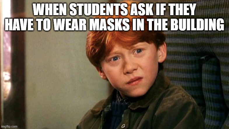 Students in masks | WHEN STUDENTS ASK IF THEY HAVE TO WEAR MASKS IN THE BUILDING | image tagged in ron weasley | made w/ Imgflip meme maker