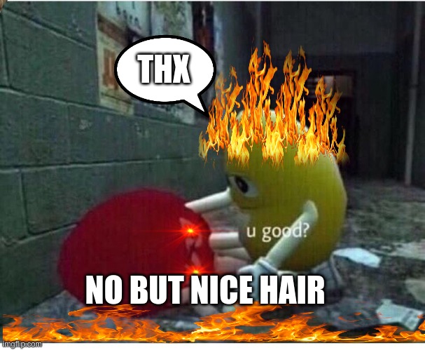 U Good No | THX; NO BUT NICE HAIR | image tagged in u good no | made w/ Imgflip meme maker