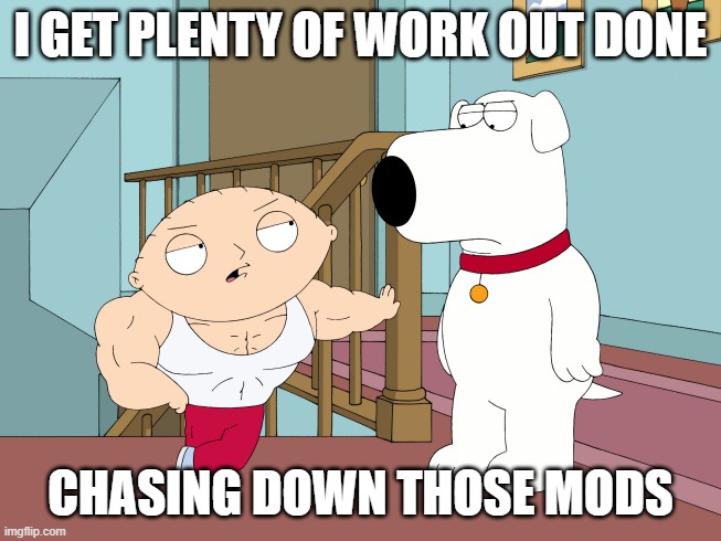 buff stewie | I GET PLENTY OF WORK OUT DONE CHASING DOWN THOSE MODS | image tagged in buff stewie | made w/ Imgflip meme maker