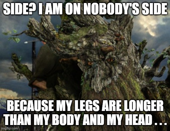 Treebeard | SIDE? I AM ON NOBODY'S SIDE; BECAUSE MY LEGS ARE LONGER THAN MY BODY AND MY HEAD . . . | image tagged in tree,lord of the rings | made w/ Imgflip meme maker