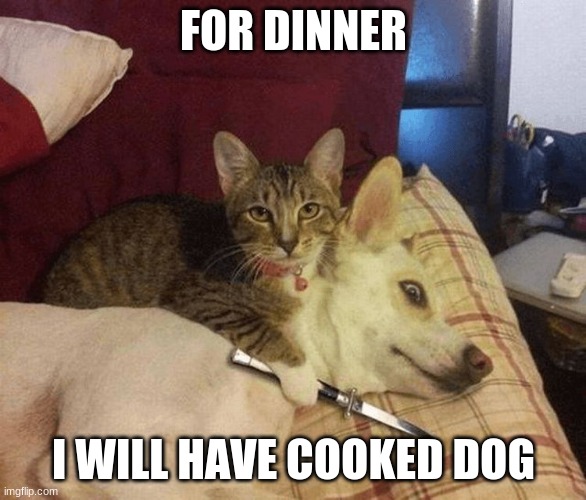 Save the dog by commenting "SAVE THE DOG" | FOR DINNER; I WILL HAVE COOKED DOG | image tagged in cat with knife at dog's throat | made w/ Imgflip meme maker