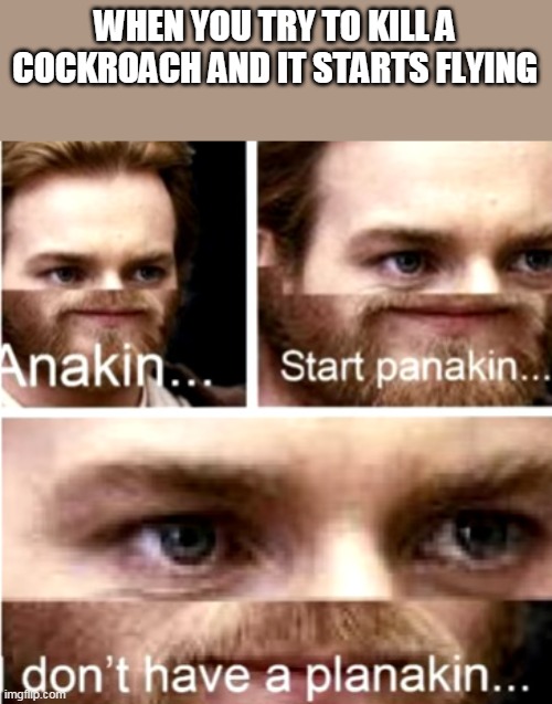 that scares you a lot | WHEN YOU TRY TO KILL A COCKROACH AND IT STARTS FLYING | image tagged in anakin start panakin | made w/ Imgflip meme maker
