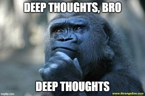 Deep Thoughts | DEEP THOUGHTS, BRO DEEP THOUGHTS | image tagged in deep thoughts | made w/ Imgflip meme maker