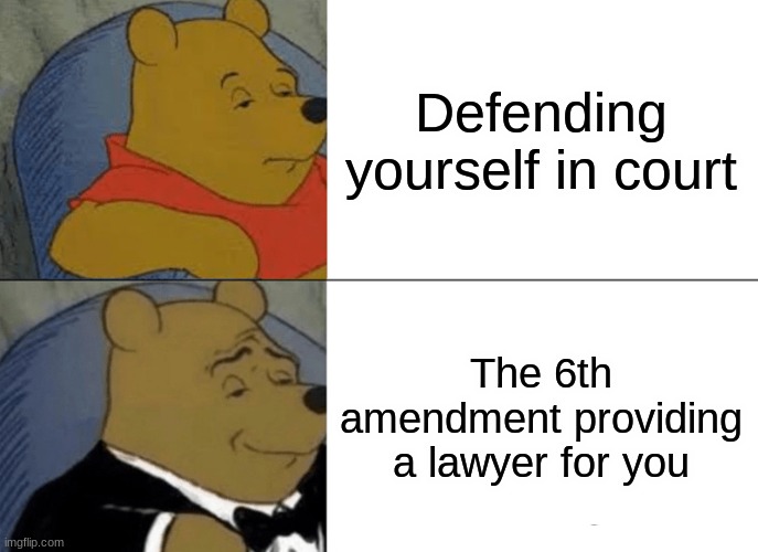 Tuxedo Winnie The Pooh | Defending yourself in court; The 6th amendment providing a lawyer for you | image tagged in memes,tuxedo winnie the pooh | made w/ Imgflip meme maker