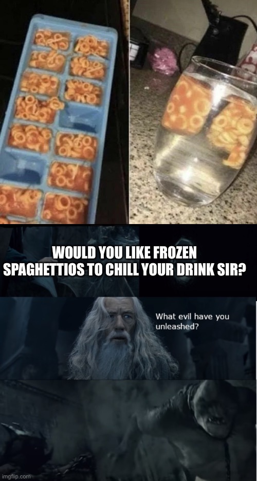 Reminds me of the time my friend had a wet dream about a spaghetti-o bath with our weird sculpture professor | WOULD YOU LIKE FROZEN SPAGHETTIOS TO CHILL YOUR DRINK SIR? | image tagged in what evil have you unleashed,spaghetti,ice | made w/ Imgflip meme maker