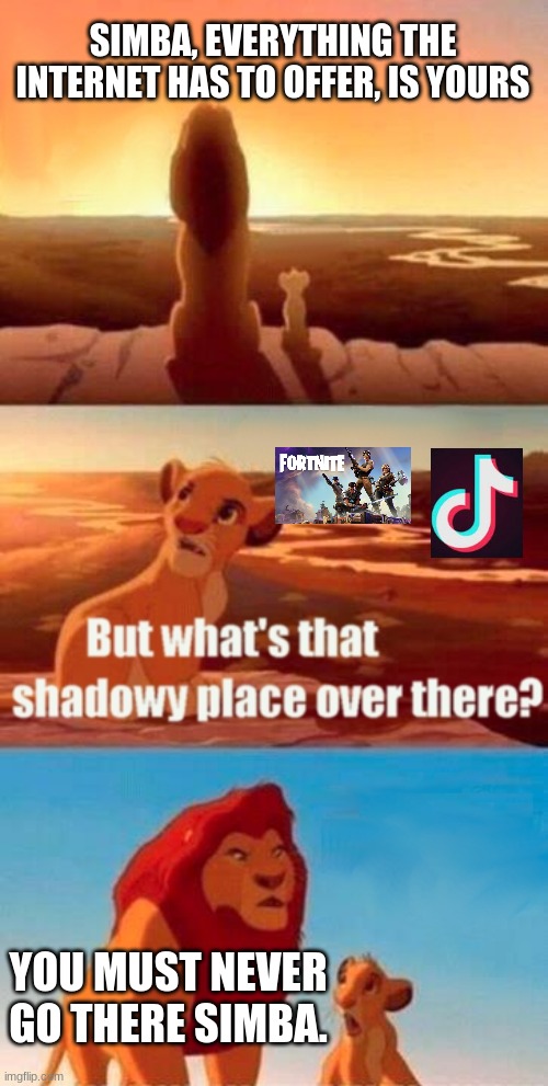 stay away | SIMBA, EVERYTHING THE INTERNET HAS TO OFFER, IS YOURS; YOU MUST NEVER GO THERE SIMBA. | image tagged in memes,tiktok sucks,fortnite | made w/ Imgflip meme maker