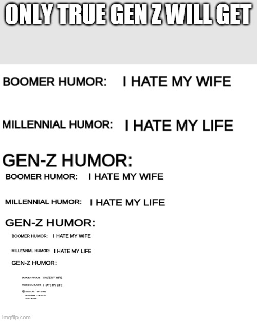 gen z humor | ONLY TRUE GEN Z WILL GET | image tagged in boomer humor millennial humor gen-z humor | made w/ Imgflip meme maker