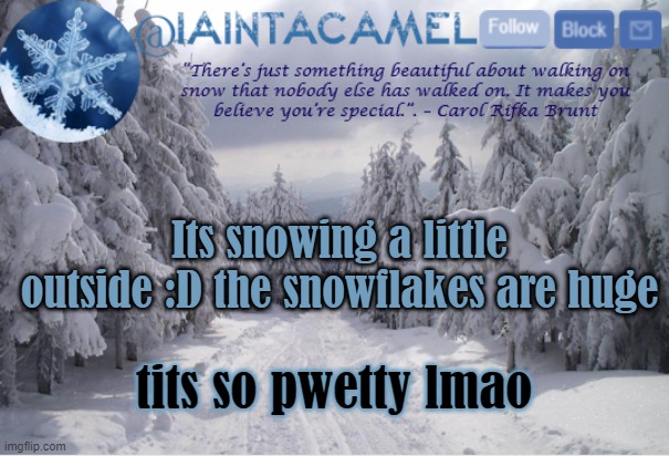 I MEANT *ITS | Its snowing a little outside :D the snowflakes are huge; tits so pwetty lmao | image tagged in iaintacamel | made w/ Imgflip meme maker