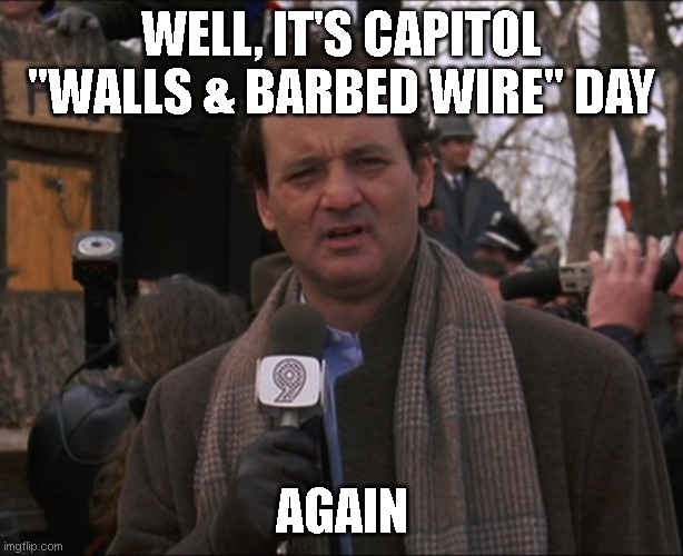 Bill Murray Groundhog Day | WELL, IT'S CAPITOL "WALLS & BARBED WIRE" DAY; AGAIN | image tagged in bill murray groundhog day | made w/ Imgflip meme maker