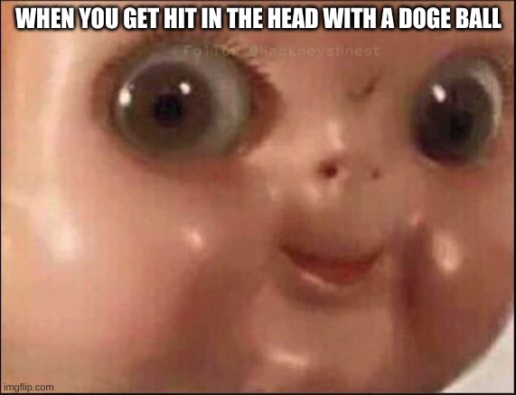 Hehe | WHEN YOU GET HIT IN THE HEAD WITH A DOGE BALL | image tagged in hehe | made w/ Imgflip meme maker