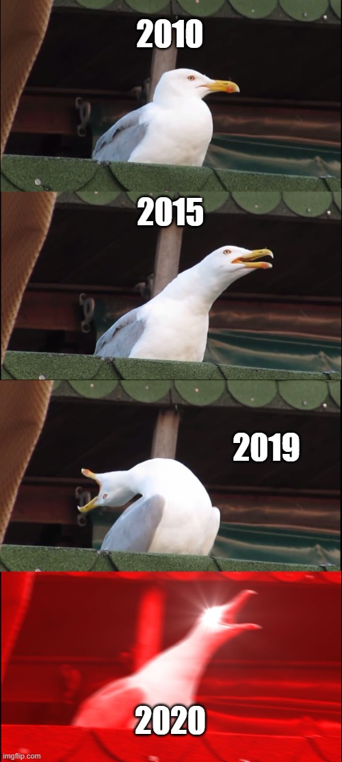 Inhaling Seagull | 2010; 2015; 2019; 2020 | image tagged in memes,inhaling seagull | made w/ Imgflip meme maker