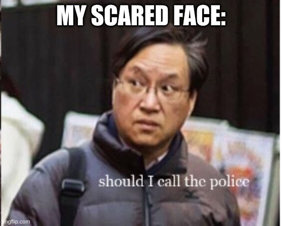 should I call the police | MY SCARED FACE: | image tagged in should i call the police | made w/ Imgflip meme maker