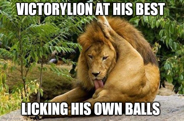 lion licking balls | VICTORYLION AT HIS BEST; LICKING HIS OWN BALLS | image tagged in lion licking balls | made w/ Imgflip meme maker