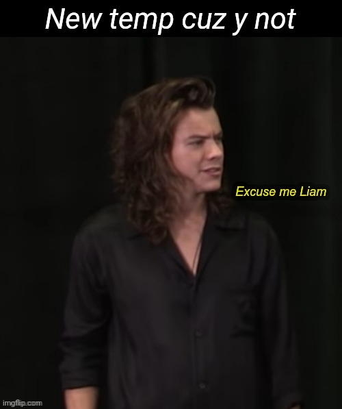 Harry Styles Excuse Me Liam | New temp cuz y not | image tagged in harry styles excuse me liam | made w/ Imgflip meme maker