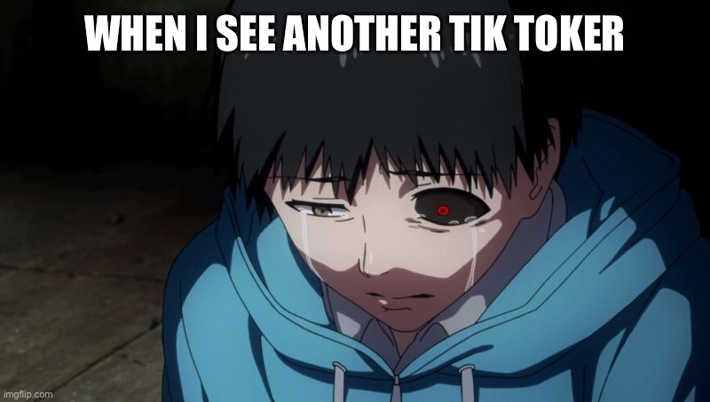 Sad noises | WHEN I SEE ANOTHER TIK TOKER | image tagged in kaneki cry | made w/ Imgflip meme maker