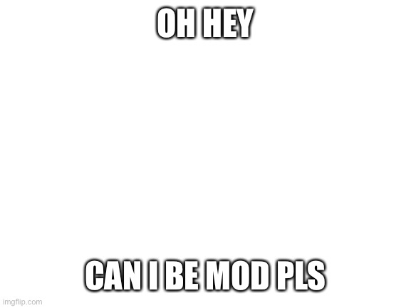 You will find out my username soon | OH HEY; CAN I BE MOD PLS | image tagged in blank white template | made w/ Imgflip meme maker